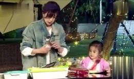 娱乐圈吃瓜呆头鹅,呆头鹅的趣味观察日记